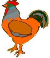 Frère Poulet