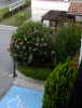CM  Montpellier 2010, photo 02