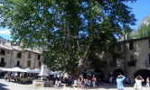 CM  Montpellier 2010, photo 28