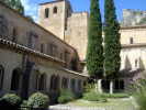 CM  Montpellier 2010, photo 32