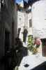 CM  Montpellier 2010, photo 43