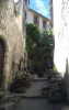 CM  Montpellier 2010, photo 44