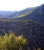 Navacelles, photo 48