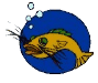 Avril 2002, le Poisson du Prsident